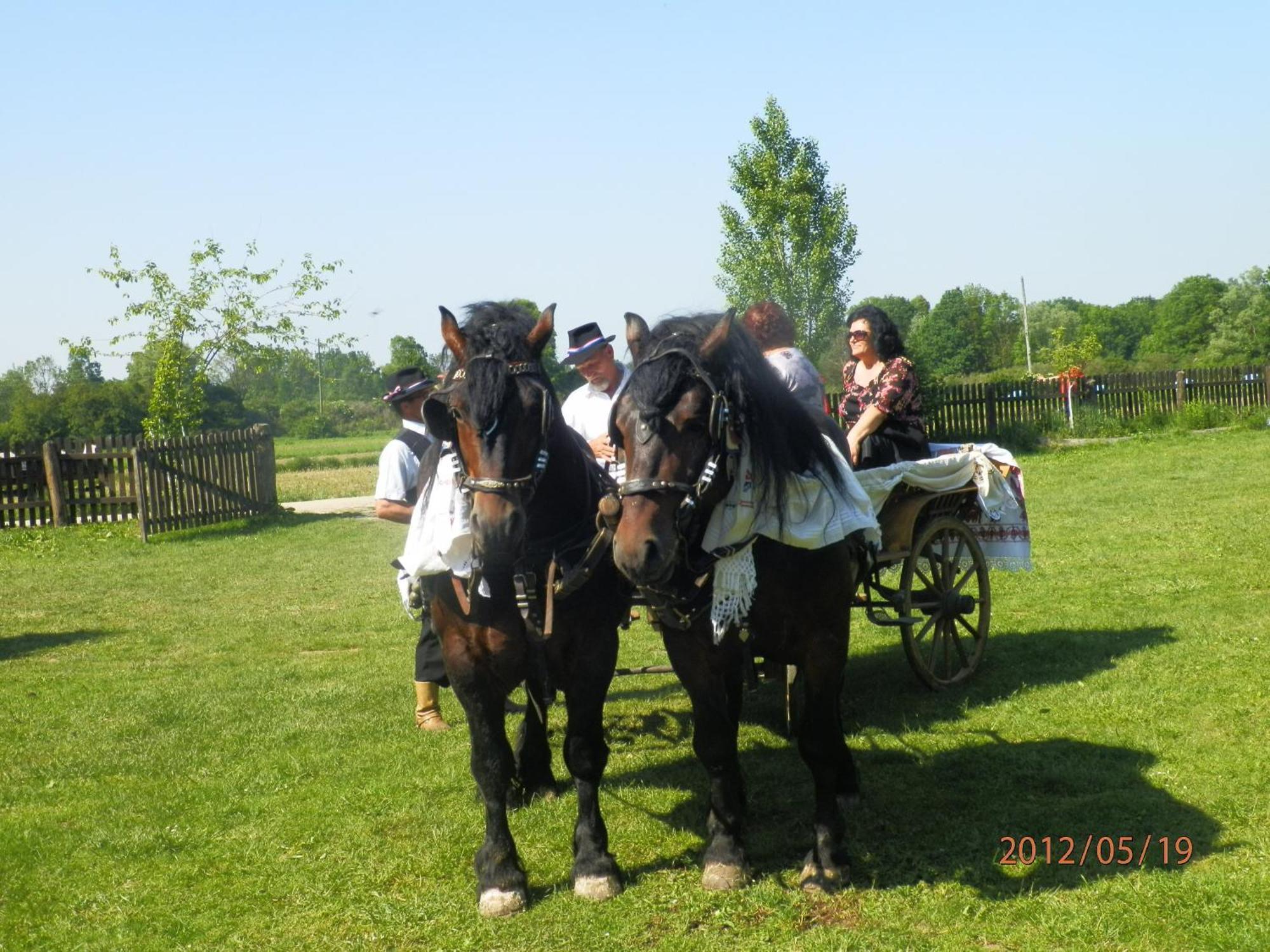 Tradicije Cigoc Hotel Buitenkant foto